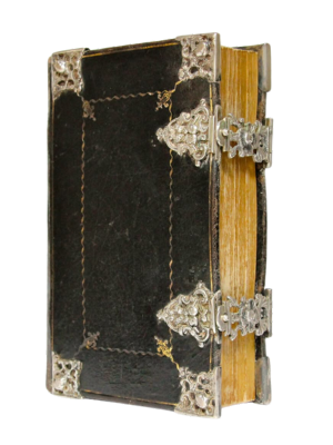 Untitled design 12.png