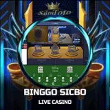 binggo sicbo copy.webp