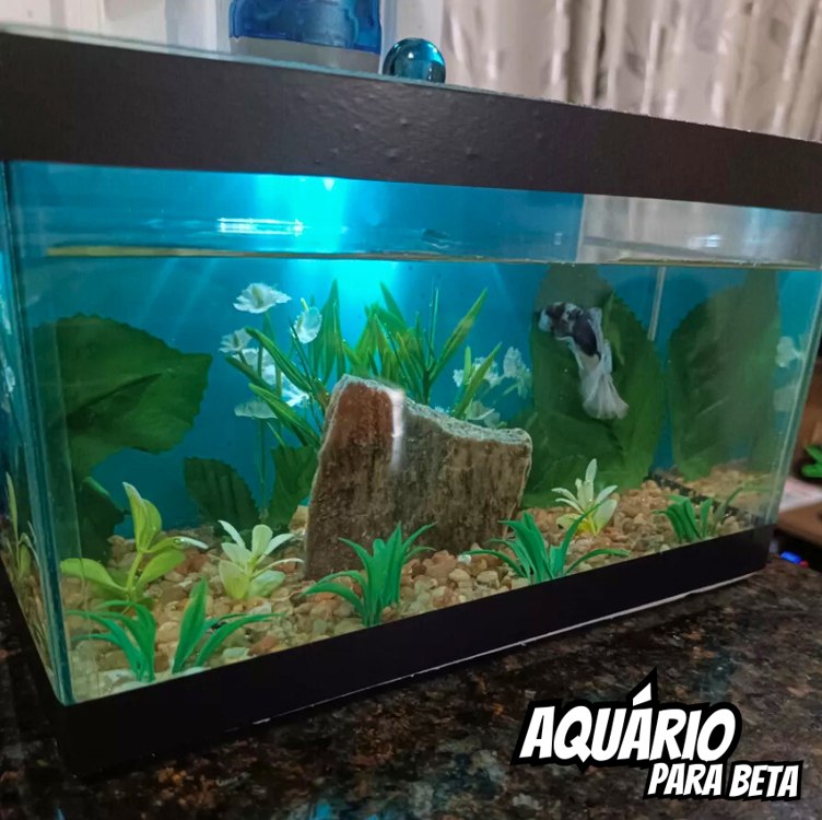 Aquário Para Peixe Betta, Beteira C/ Decoração Fixa 4,5litro