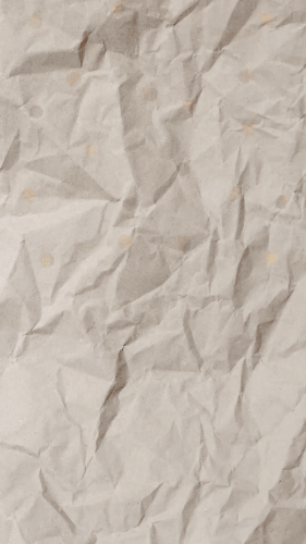 IMG 4030.gif