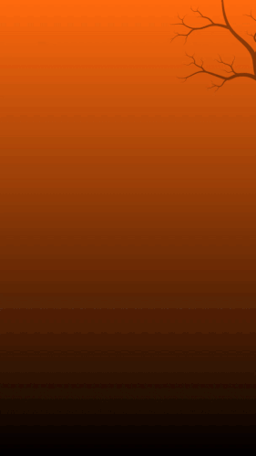 IMG 4071.gif