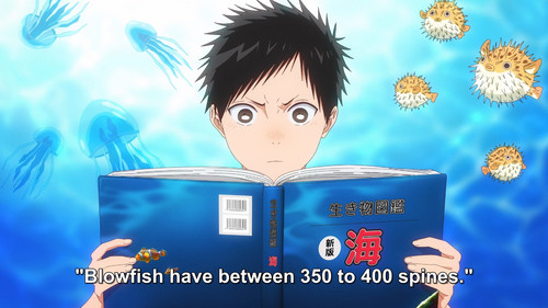 Blue.Box.S01E05v2.Aquarium.1080p.NF.WEB DL.JPN.DDP5.1.H.264.MSubs ToonsHub.mkv snapshot 05.58 [2024..jpg