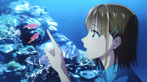 Blue.Box.S01E05v2.Aquarium.1080p.NF.WEB DL.JPN.DDP5.1.H.264.MSubs ToonsHub.mkv snapshot 08.43 [2024.