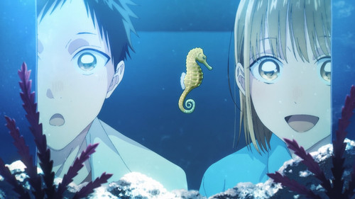 Blue.Box.S01E05v2.Aquarium.1080p.NF.WEB DL.JPN.DDP5.1.H.264.MSubs ToonsHub.mkv snapshot 09.47 [2024.