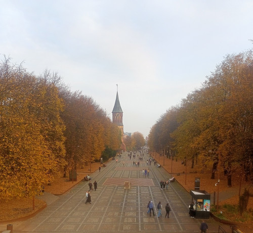 IMG 20241026 155423.jpg