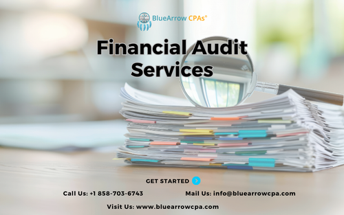 Financial Audit Services.png