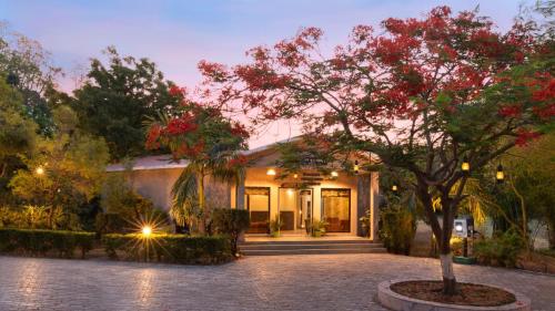 Experience Nature’s Elegance: Luxury Resorts in Jim Corbett.jpg