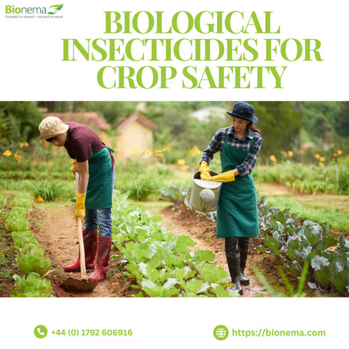 Biological Insecticides: Natural Solutions for Crop Safety.png