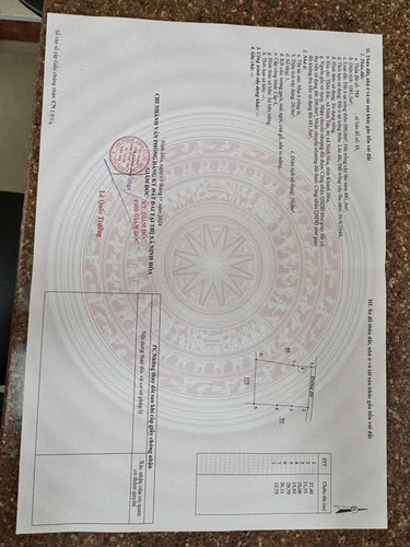 472711372 4005695029748489 2082645248399482534 n.jpg