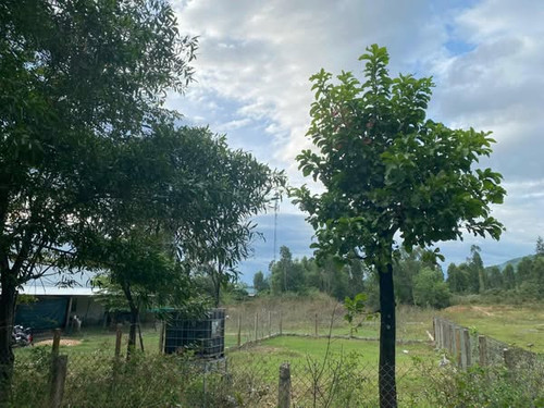 472840336 994999965797671 2178216741368776150 n.jpg