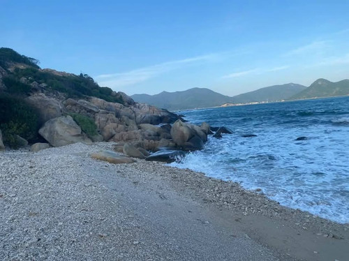 472713332 1299941761037722 2116005330492213643 n.jpg