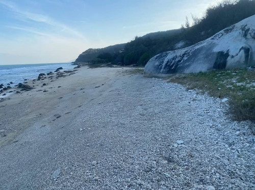 472813613 1299941721037726 4721538680040122969 n.jpg