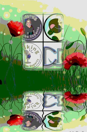 Talking with the Experts podcast guest Richard Blank Costa Ricas Call Center.jpg