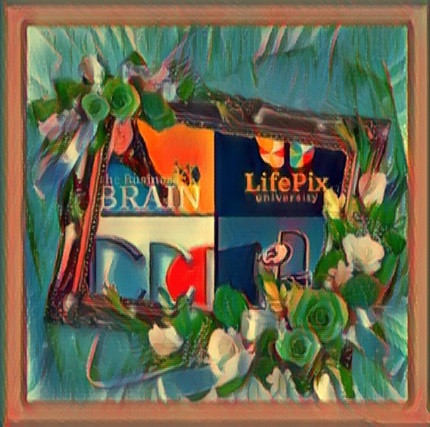 The business brain podcast by ST Rappaport of LifePix University guest trainer Richard Blank.jpg