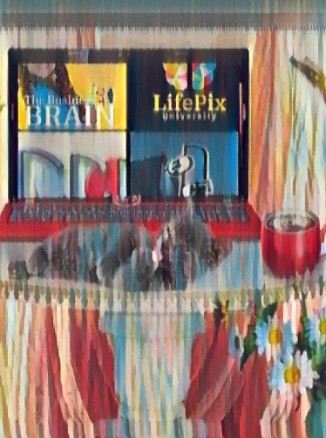 The business brain podcast by ST Rappaport of LifePix University B2B guest Richard Blank.jpg