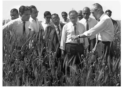 M.S. Swaminathan with  Norman Borlaug and colleagues.jpg