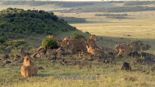 [非洲猫科动物].DisneyNature.African.Cats.Kingdom.of.Courage.2011.Blu ray.1080P.AVC.DTS HD.MA.5.1 CMCT 2025.png