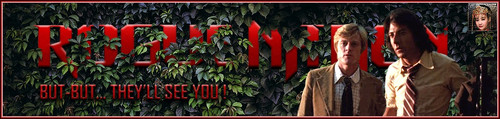 AllPrez Banner.jpg