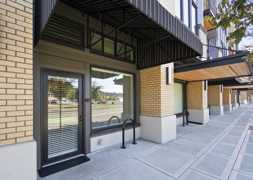 Chiropractor Olympia.jpg