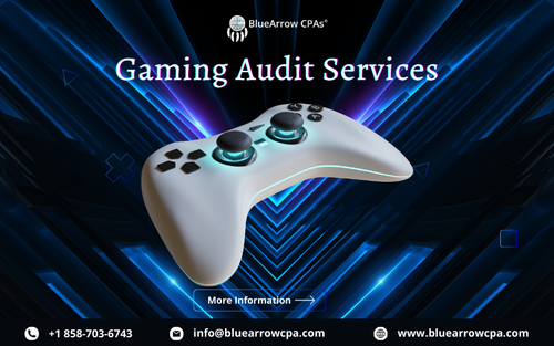 Gaming Audit Services.png