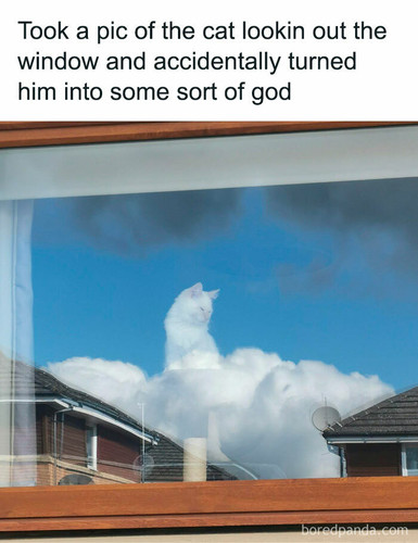 accidental camouflage moments pics 677d1b7004f61 700.jpg