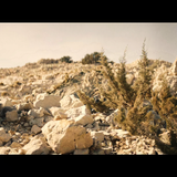 Snímka obrazovky 2025 01 10 153239