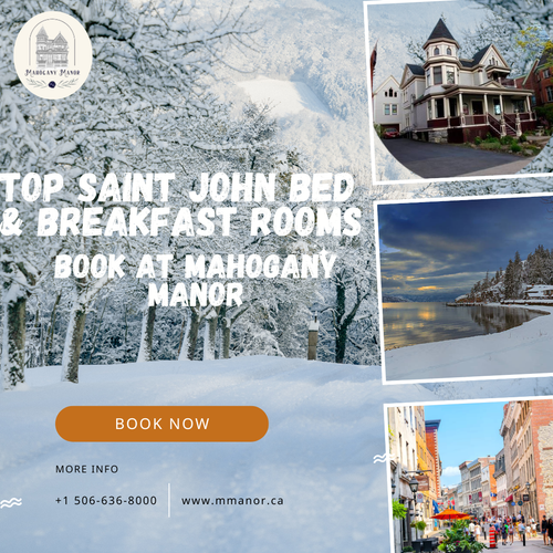 Top Saint John Bed and Breakfast Rooms – Book at Mahogany Manor.png