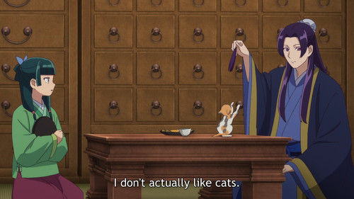 The.Apothecary.Diaries.S02E25.Maomao.and.Maomao.1080p.CR.WEB DL.JPN.AAC2.0.H.264.MSubs ToonsHub.mkv .jpg