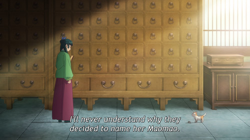 The.Apothecary.Diaries.S02E25.Maomao.and.Maomao.1080p.CR.WEB DL.JPN.AAC2.0.H.264.MSubs ToonsHub.mkv 