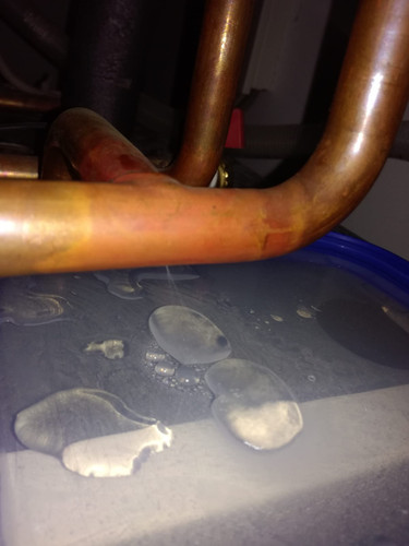 WhatsApp Bild 2024 12 07 um 16.56.48 79c0fcd6