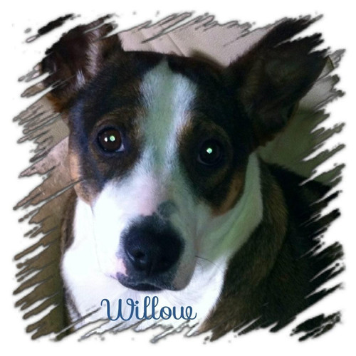 906895 10201059012504617 1834615234 o.jpg