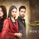 t233 woh ziddi si card