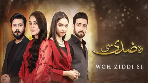 t233 woh ziddi si card.webp