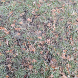 PXL_20250111_081832334