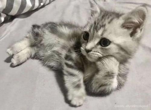 104bcb58 5473 4bfe 8baf 30f1b1e206b4.png