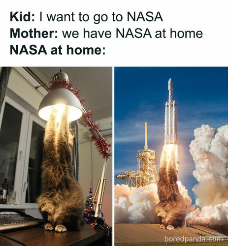 2 60e81acb93996 700.jpg