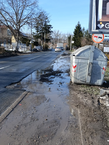 IMG 20250108 115413.jpg