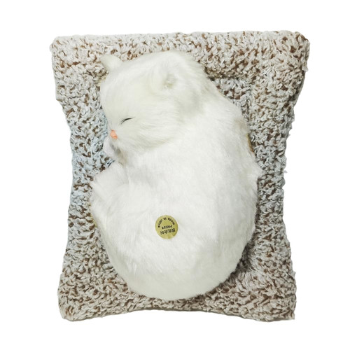 61Xk2XULgCL. SL1000 .jpg