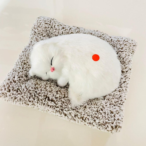 71 H4daVsxL. SL1500 .jpg