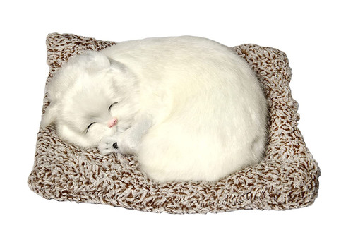 71oeiAx3VLL. SL1500 .jpg