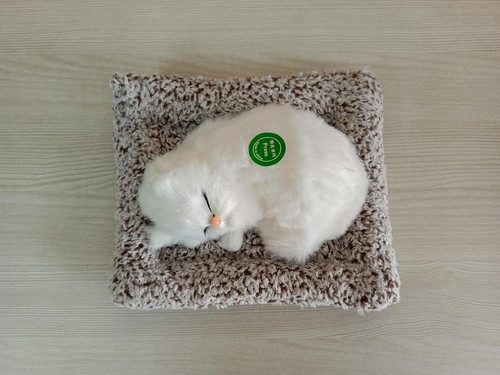 713OSeu7WaL. SL1500 .jpg