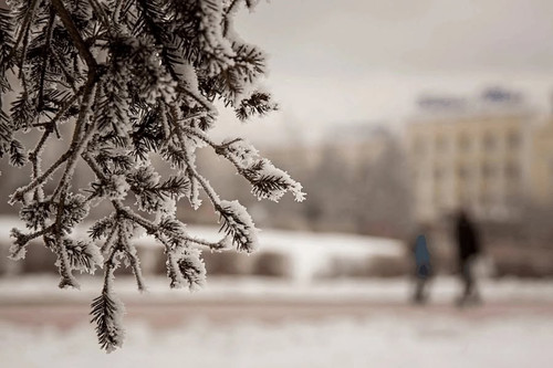 474743285 1054356670056130 2679228299715899786 n.jpg?stp=dst jpg p600x600 tt6& nc cat=101&ccb=1 7& n.jpg