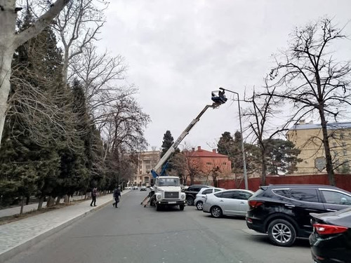 473727799 648238214221863 3760838253813379249 n.jpg?stp=dst jpg s600x600 tt6& nc cat=107&ccb=1 7& nc.jpg