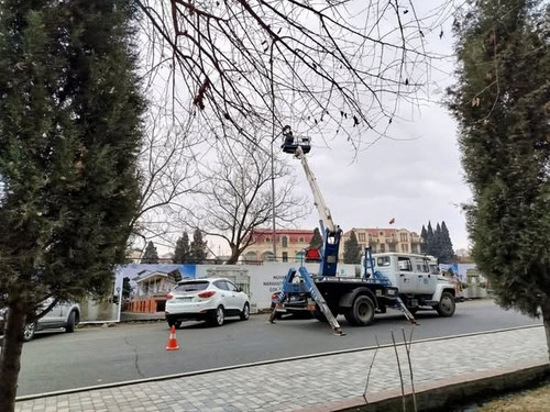 473741012 648238220888529 4951108032650988936 n.jpg?stp=dst jpg s600x600 tt6& nc cat=106&ccb=1 7& nc.jpg