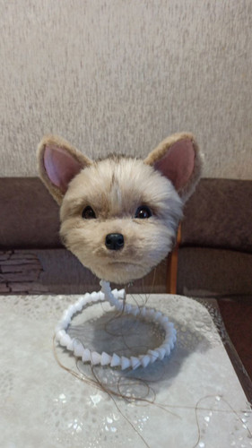 1737712349 1771370060.jpg