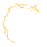 a 365eed4178528fe8293c4212e8e2d5cb.gif