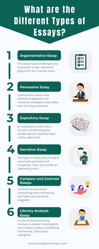 write my essay for me.jpg