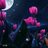 bloggif 6794133579235.gif