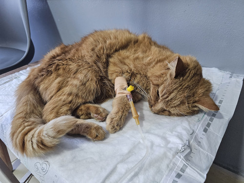 IMG 20250124 232029 437.jpg