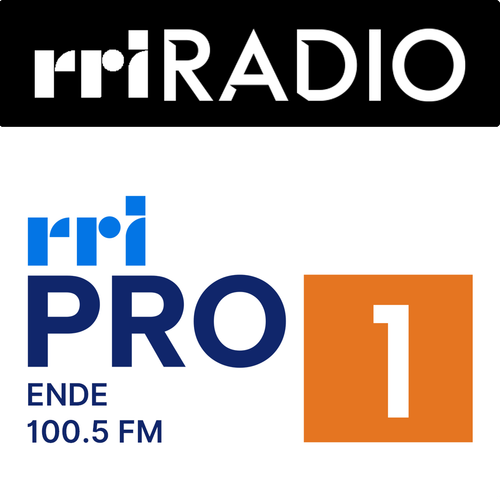 Pro 1 RRI Ende.png